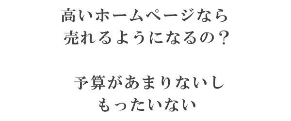 高いホームページなら売れるの？予算が少ないしもったいない